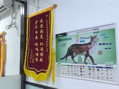 -嘉馨宠物医院·CT影像转诊·心脏科·犬猫全科诊疗中心(下沙大学城院区)