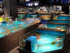 水产区-拉完海鲜大排档(温岭店)