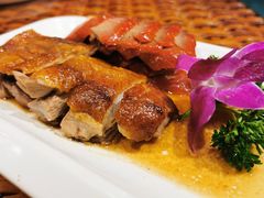 -老广酒楼(樱花店)