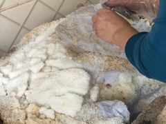 -吉英盐焗鸡(文中路店)