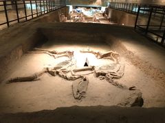 -洛阳周王城天子驾六博物馆