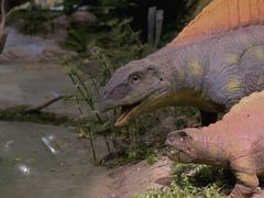 -湖南省地质博物馆