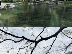 -九曜山