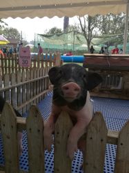 -萌宠亲子动物乐园(槐房万达店)