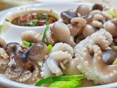 -张鸟园农家乐(张鸟园店)