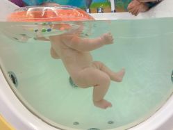 -蓓朵母婴生活馆(万科金域华庭店)