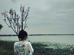 -焦岗湖旅游度假区