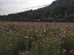 -红山村