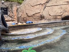 -海口观澜湖火山温泉谷