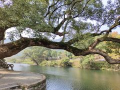 -上坦村