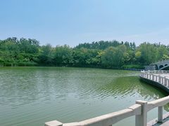 -塘沽森林公园
