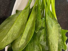 -老北京羊蝎子火锅(光荣道店)