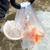 探店篇｜啃鸡翅的快落你不懂[阴险]