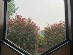 -帐篷客·溪龙茶谷度假酒店