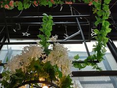 -聚缘·湘味音乐餐厅party(罗湖店)