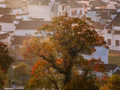 -塔川景区