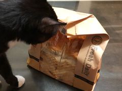 -猫姐私人烘培定制