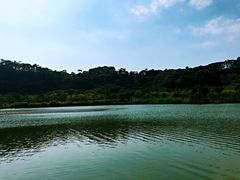 -飞凤山奥体公园