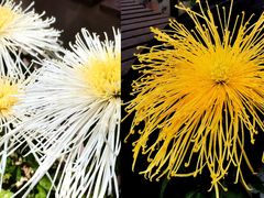 -共青国家森林公园-售票处