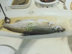-席家花园(巨鹿花园店)