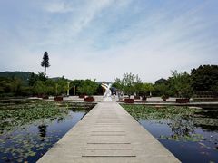-白马涧龙池景区