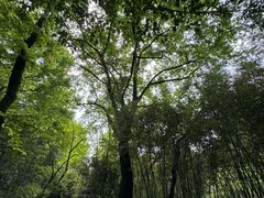 -兰亭风景区