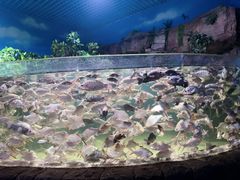 -多彩贵州城极地海洋世界