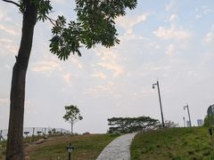 -福田红树林生态公园