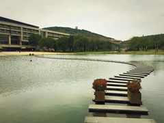 -上海佘山世茂艾美酒店