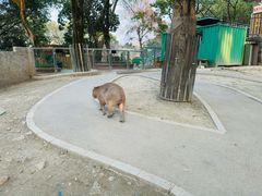 -成都欢乐谷
