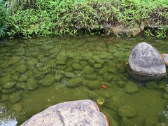 -乌山风景区