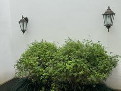 -乌镇望津里精品酒店