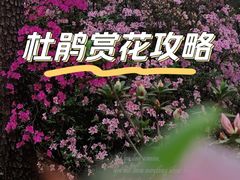 -烈士陵园(地铁站)