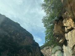 -王顺山国家森林公园