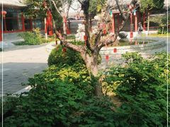 -有喜胶东小馆(太申祥和店)