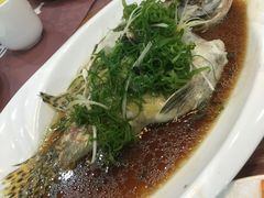 -九號渔港·蒸汽海鲜·粤菜茶点(八卦岭店)
