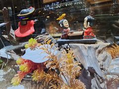 -红辣椒·川菜·火锅(张杨路店)