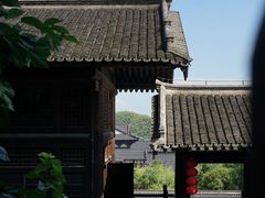 -大唐贡茶院