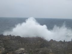 -龙坑生态保护区