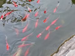 -燕莎友谊商城(亮马桥店)