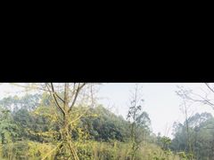 -黄龙溪欢乐田园