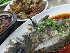 清蒸海鱼-七鲜渔港美食餐厅(巽寮湾海景店)