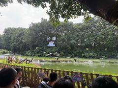 -广州长隆飞鸟乐园