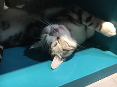 -小时光咖啡馆(开森度假森林店)