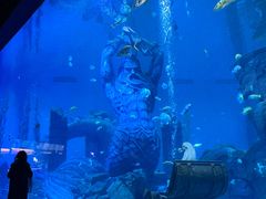 -波塞冬海底世界