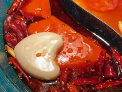 -吼堂老火锅(太古里总店)