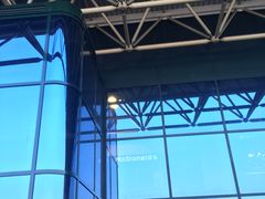 -米兰马尔彭萨国际机场