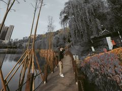 -重庆彩云湖湿地公园