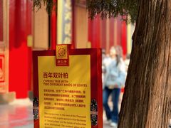 -西安市广仁寺