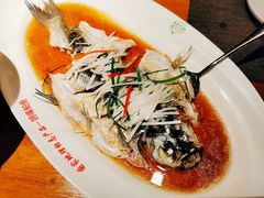 -丹江渔村(望京店)